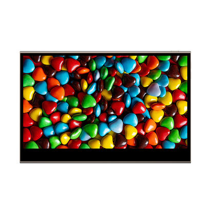 15.6 Inch Battery-Powered Portable Touch Screen Monitor for Business and System Integration