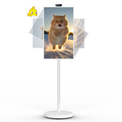Quality  21" Android 12 System Stand By Me TV Smart Broadcast Machine Touch Screen factory