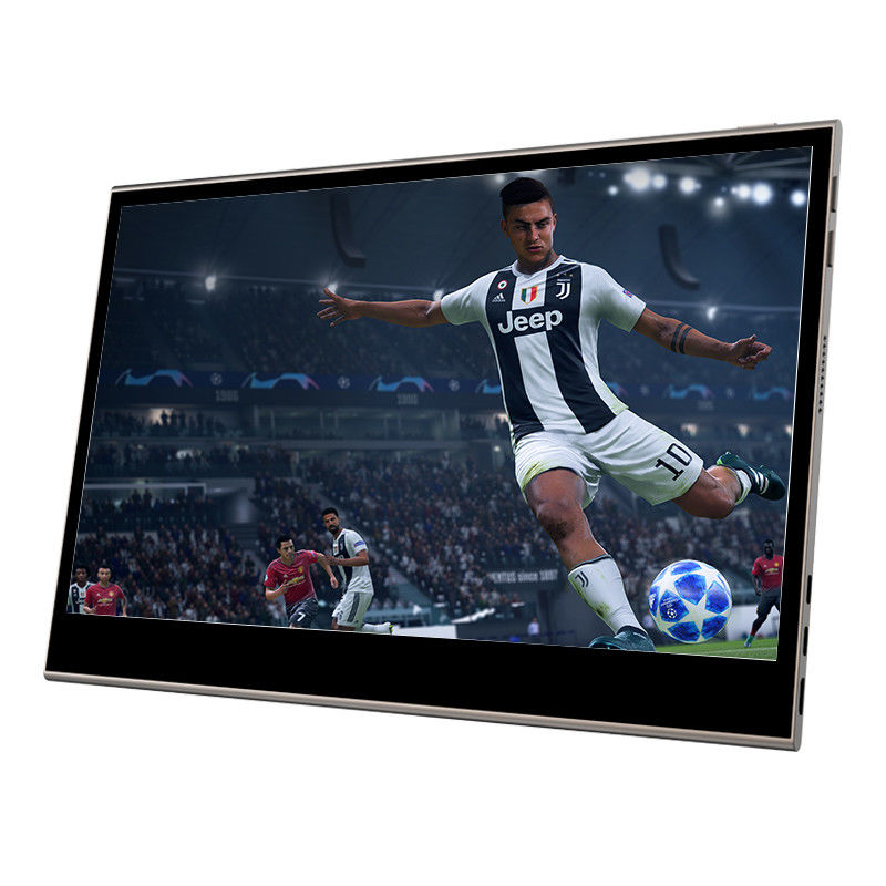 Hopestar 15.6 Inch Battery Powered Portable Touch Screen Monitor